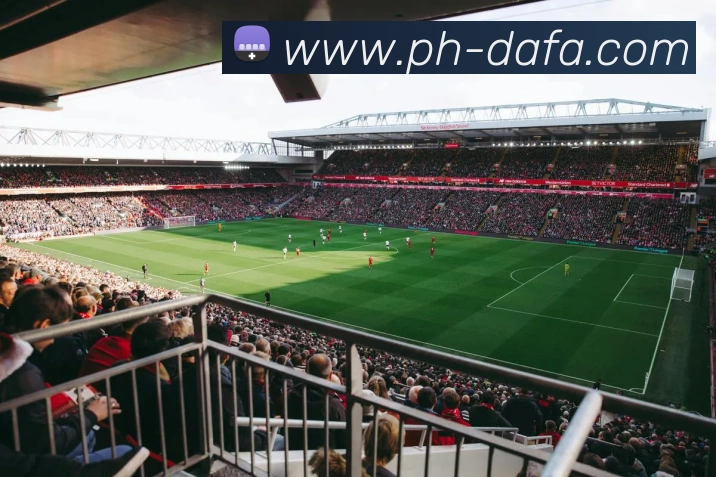 大发彩票APP 封面图